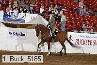 11buck_5185 proof