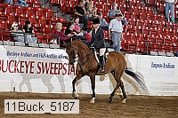 11buck_5187 proof