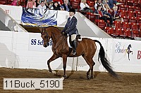 11buck_5190 proof