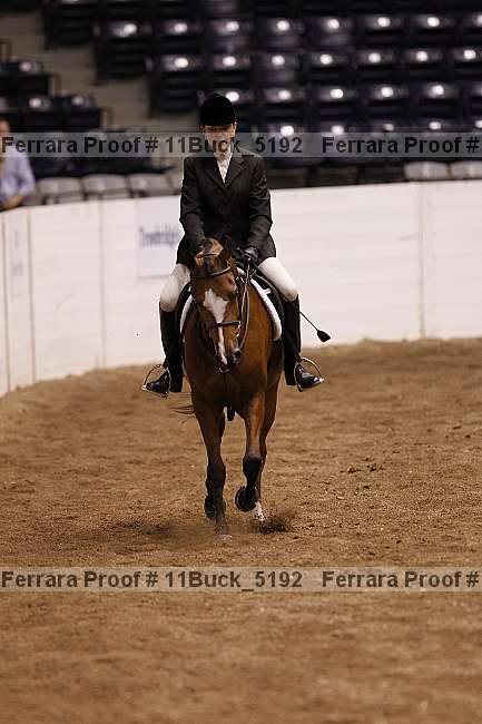 Proof 11buck_5192