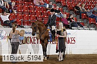11buck_5194 proof