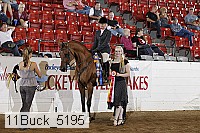 11buck_5195 proof