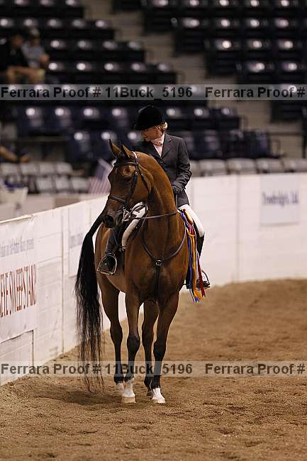 Proof 11buck_5196