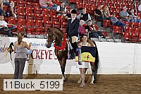 11buck_5199 proof