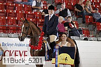 11buck_5201 proof