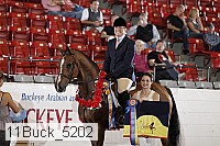11buck_5202 proof