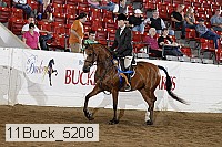 11buck_5208 proof