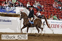11buck_5210 proof