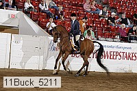 11buck_5211 proof