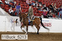 11buck_5213 proof