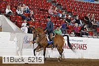 11buck_5215 proof