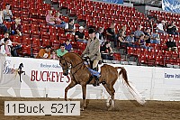 11buck_5217 proof