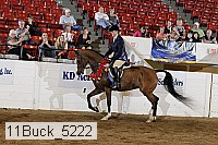 11buck_5222 proof