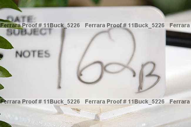 Proof 11buck_5226