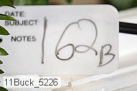 11buck_5226 proof