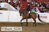11buck_5228 proof