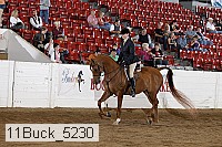 11buck_5230 proof