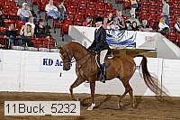 11buck_5232 proof