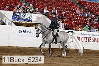 11buck_5234 proof