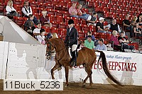 11buck_5236 proof