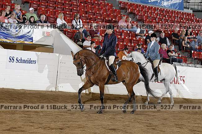 Proof 11buck_5237