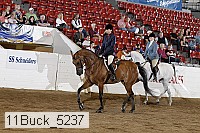 11buck_5237 proof