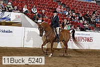 11buck_5240 proof