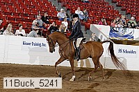 11buck_5241 proof