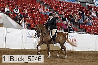 11buck_5246 proof