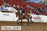 11buck_5247 proof