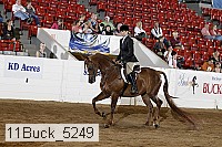 11buck_5249 proof