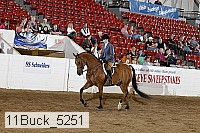 11buck_5251 proof