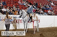 11buck_5257 proof