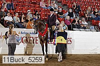 11buck_5259 proof