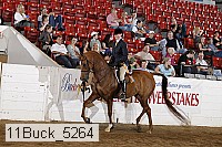 11buck_5264 proof