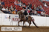 11buck_5271 proof