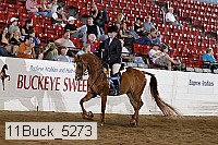11buck_5273 proof