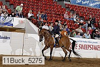 11buck_5275 proof