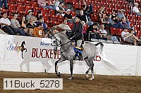 11buck_5278 proof
