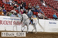 11buck_5281 proof