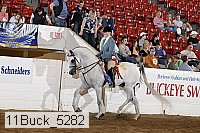 11buck_5282 proof