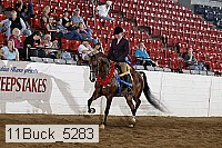 11buck_5283 proof