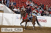 11buck_5284 proof