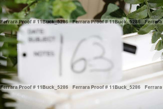 Proof 11buck_5286