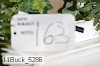 11buck_5286 proof