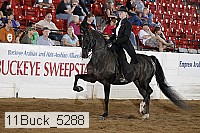 11buck_5288 proof