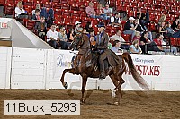 11buck_5293 proof