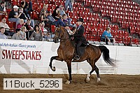 11buck_5296 proof