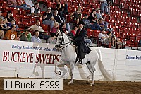 11buck_5299 proof