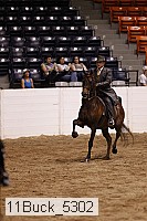 11buck_5302 proof